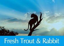 画像をギャラリービューアに読み込む, 正規品【猫用】AMBROSIA アンブロシア クラシック キャット トラウト&ラビット キャットフード(AMBROSIA Ultra Premium Cat Food Trout Rabbit)