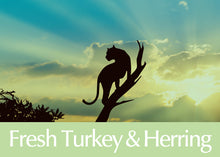 画像をギャラリービューアに読み込む, 正規品【猫用】AMBROSIA アンブロシア クラシック キャット ターキー&ヘリング キャットフード(AMBROSIA Ultra Premium Cat Food Turkey Herring)