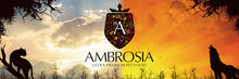 画像をギャラリービューアに読み込む, 正規品【猫用】AMBROSIA アンブロシア クラシック キャット ターキー&ヘリング キャットフード(AMBROSIA Ultra Premium Cat Food Turkey Herring)