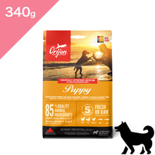 画像をギャラリービューアに読み込む, 正規品【犬用 子犬】プレミアムフード 特別スターターパックB1 ドッグ ドッグフード