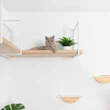 画像をギャラリービューアに読み込む, 【猫用】キャットステップ・ウォールシェルフ MYZOO-AVENUE(オーク)