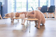 画像をギャラリービューアに読み込む, 【犬猫用】ペット用食器 MYZOO-OUTERSPACE