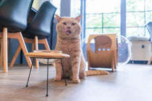 画像をギャラリービューアに読み込む, 【犬猫用】ペット用食器 MYZOO-OUTERSPACE