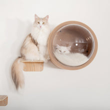 画像をギャラリービューアに読み込む, 【猫用(小型犬)】ベッド MYZOO-宇宙船GAMMA(オーク素材)