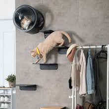 画像をギャラリービューアに読み込む, 【猫用】キャットステップ MYZOO-LACK(ブラック) ×2枚