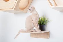 画像をギャラリービューアに読み込む, 【猫用】キャットステップ MYZOO-LACK(無地) ×2枚