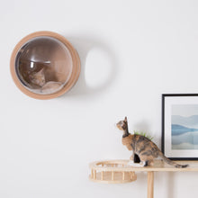 画像をギャラリービューアに読み込む, 【猫用(小型犬)】ベッド MYZOO-宇宙船GAMMA(ウォールナット素材)