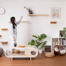 画像をギャラリービューアに読み込む, 【猫用】キャットステップ・ウォールシェルフ MYZOO-AVENUE(クリア)