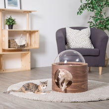 画像をギャラリービューアに読み込む, 【猫用(小型犬)】ベッド MYZOO-宇宙船GAMMA(ウォールナット素材)