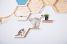 画像をギャラリービューアに読み込む, 【猫用】キャットステップ MYZOO-ZONE