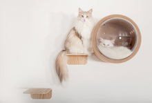 画像をギャラリービューアに読み込む, 【猫用】キャットステップ MYZOO-LACK(無地) ×2枚