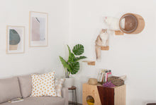 画像をギャラリービューアに読み込む, 【猫用】キャットステップ MYZOO-LACK(無地) ×2枚