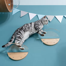 画像をギャラリービューアに読み込む, 【猫用】キャットステップ MYZOO-ROUND LACK(クリア) ×1枚