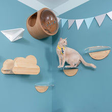 画像をギャラリービューアに読み込む, 【猫用】キャットステップ MYZOO-ROUND LACK(クリア) ×1枚