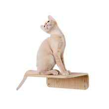 画像をギャラリービューアに読み込む, 【猫用】キャットステップ MYZOO-LACK(無地) ×2枚