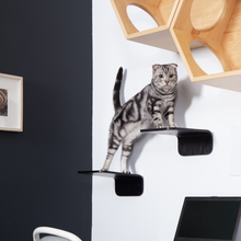 画像をギャラリービューアに読み込む, 【猫用】キャットステップ MYZOO-LACK(ブラック) ×2枚