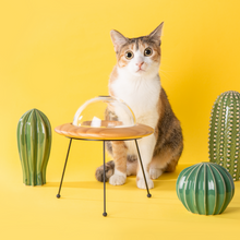 画像をギャラリービューアに読み込む, 【犬猫用】ペット用食器 MYZOO-OUTERSPACE