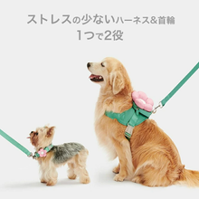 画像をギャラリービューアに読み込む, 【犬用】VETRESKA(ベトレスカ) ペットハーネス リード 首輪 セット フラワー / Flora 4サイズ