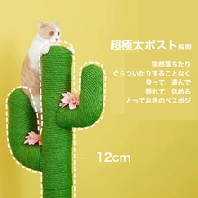 画像をギャラリービューアに読み込む, 【猫用】VETRESKA(ベトレスカ) 猫家具 キャットタワー / サボテン型