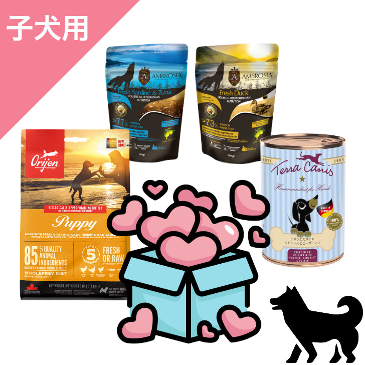正規品【犬用 子犬】プレミアムフード 特別スターターパック ドッグ ドッグフード