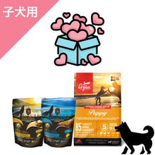 画像をギャラリービューアに読み込む, 正規品【犬用 子犬】プレミアムフード 特別スターターパックB1 ドッグ ドッグフード
