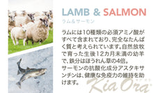 画像をギャラリービューアに読み込む, 正規品【犬用】Kia Ora キアオラ ドッグフード ラム&amp;サーモン  （Kia Ora Lamb and Salmon FOR DOGS Dog Food）
