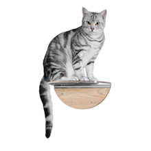 画像をギャラリービューアに読み込む, 【猫用】キャットステップ MYZOO-ROUND LACK（クリア） ×1枚

