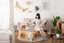 画像をギャラリービューアに読み込む, 【猫用】部品 MYZOO-六角ハウスチェアプレート（無地）
