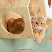 画像をギャラリービューアに読み込む, 【猫用】キャットステップ MYZOO-六角ハウス（無地）
