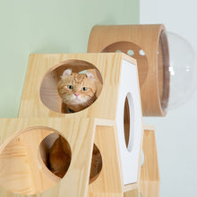 画像をギャラリービューアに読み込む, 【猫用】キャットステップ MYZOO-六角ハウス（無地）
