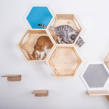 画像をギャラリービューアに読み込む, 【猫用】キャットステップ MYZOO-六角ハウス（無地）
