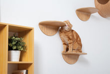 画像をギャラリービューアに読み込む, 【猫用】キャットステップ MYZOO-ROUND LACK（無地） ×2枚
