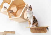画像をギャラリービューアに読み込む, 【猫用】キャットステップ MYZOO-LACK（無地） ×2枚
