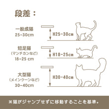 画像をギャラリービューアに読み込む, 【猫用】キャットステップ MYZOO-ROUND LACK（無地） ×2枚
